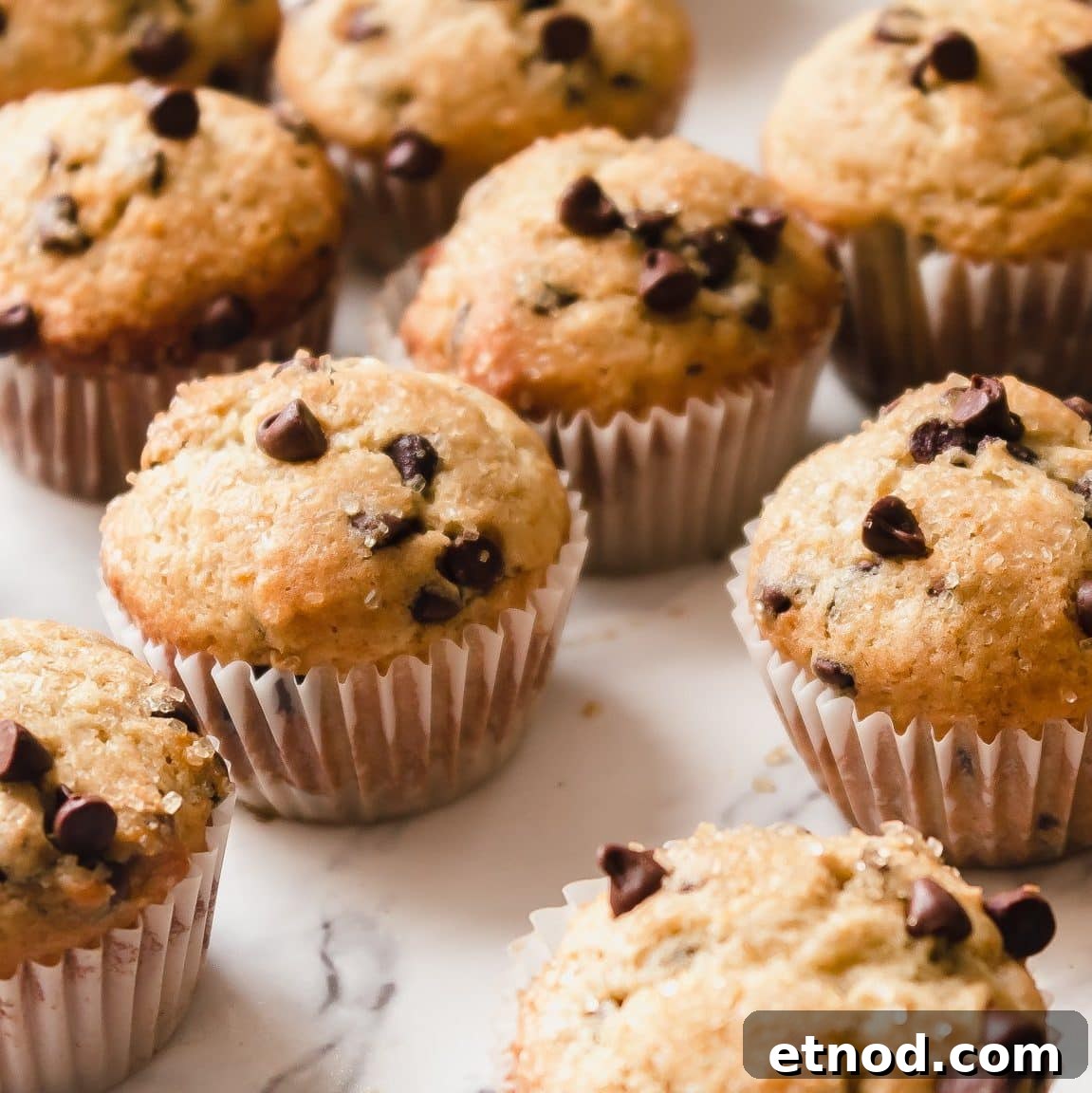 White Chocolate Raspberry Muffins with Fresh Berries 6 Chocolate Chip Mini Muffins with Orange Zest