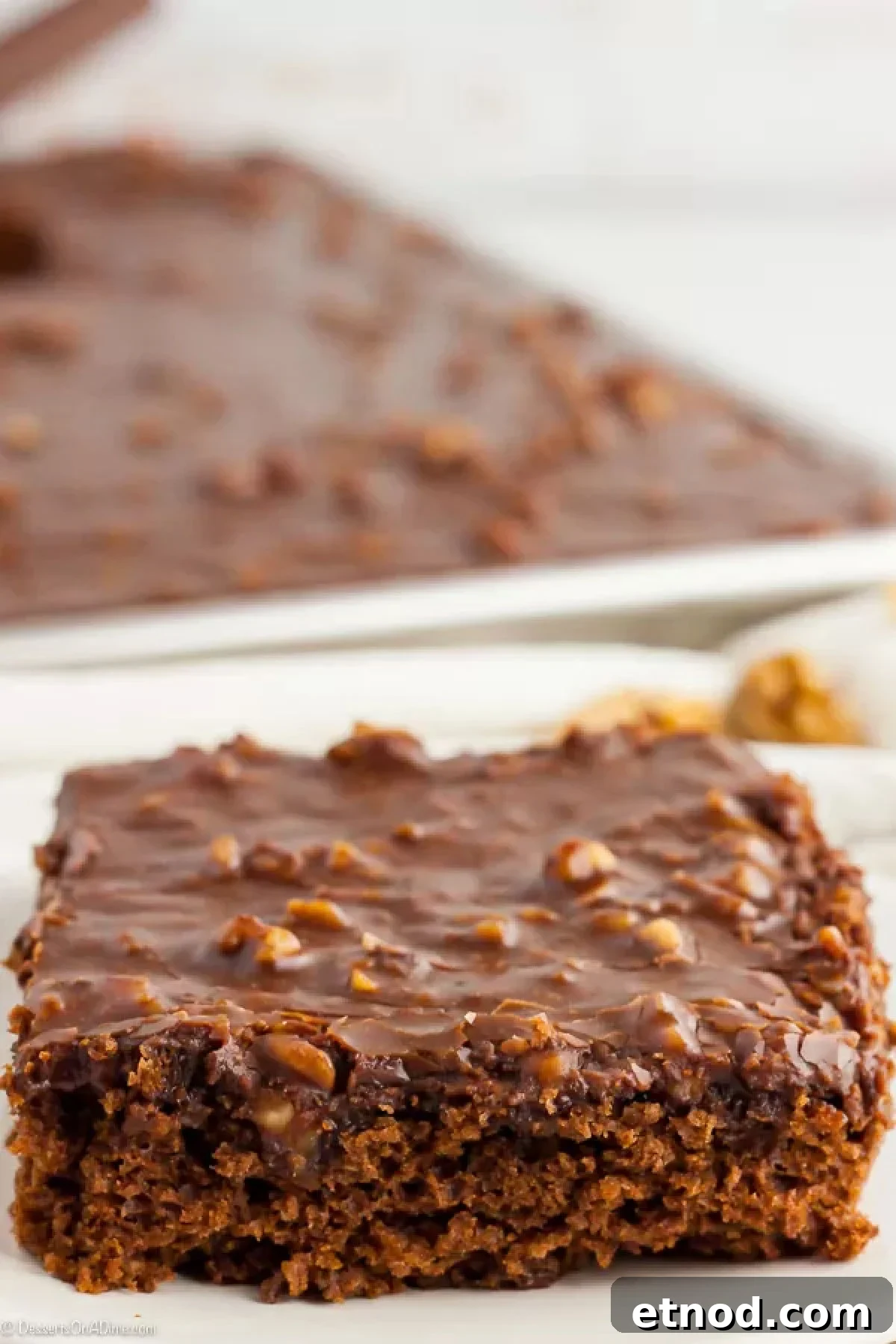You don't have to be from the South to enjoy this decadent Texas Sheet Cake. The cake is moist and the icing just melts in your mouth. Close up image of a slice of Texas Sheet Cake on a white plate.