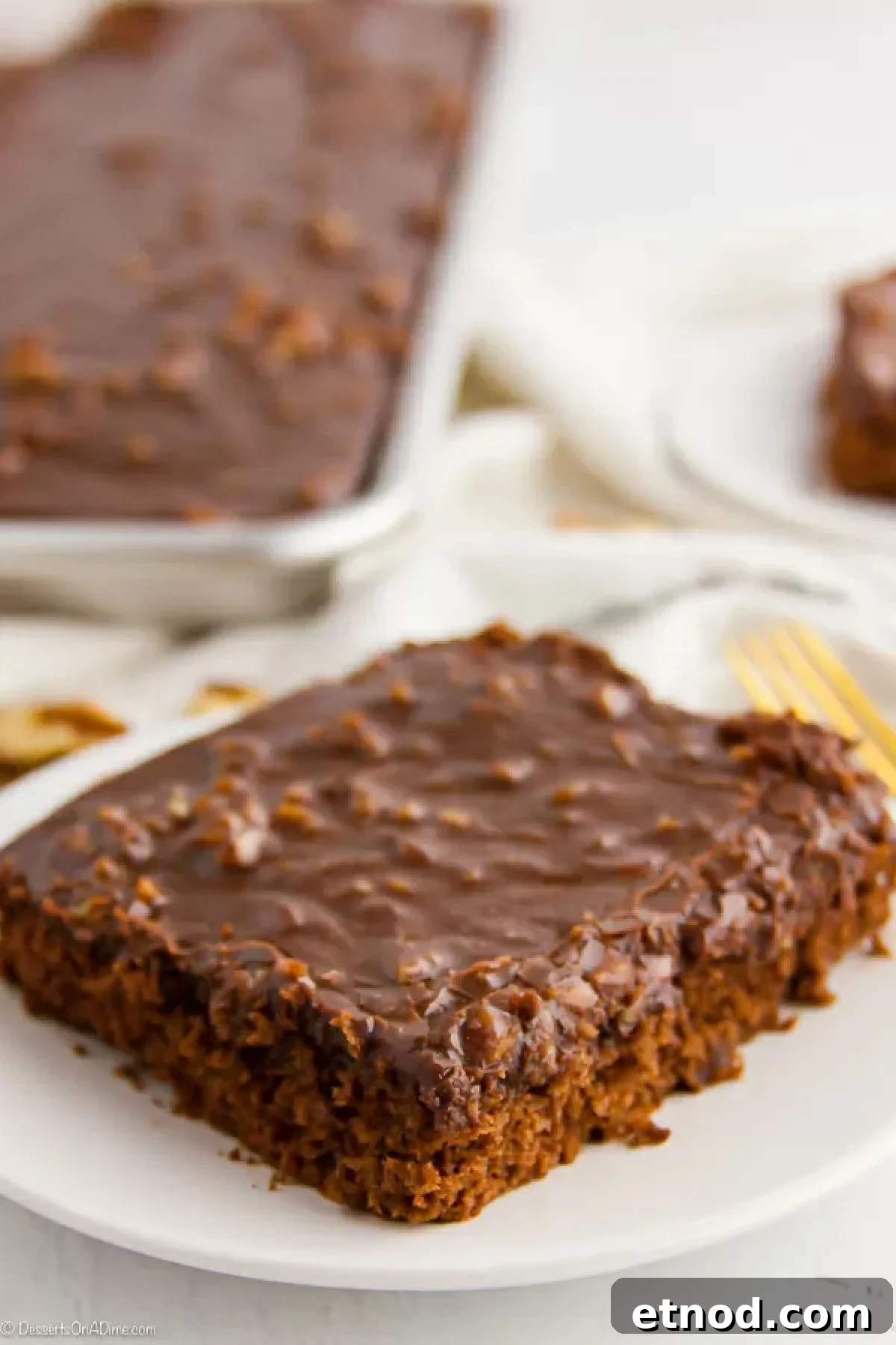 You don't have to be from the South to enjoy this decadent Texas Sheet Cake. The cake is moist and the icing just melts in your mouth. Close up image of a slice of texas sheet cake on a white plate.