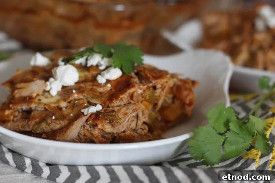 PaleOMG Chicken Enchilada Bake