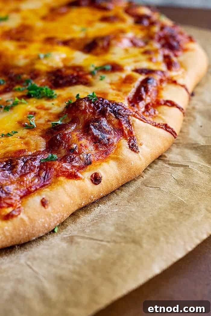 closeup: 3 cheese pizza hot from the oven