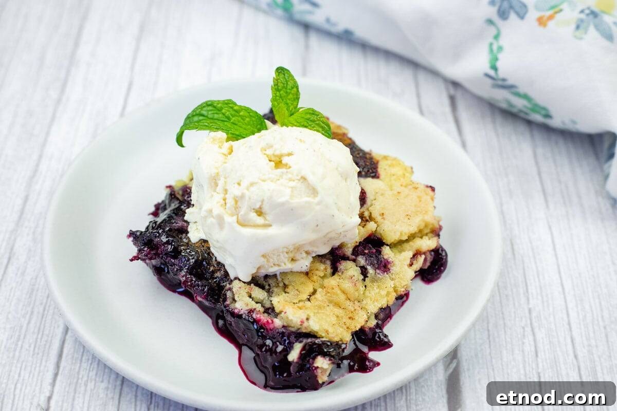 21 Quirky-Looking Desserts That Disappear First at Parties 12 A serving of blueberry dump cake topped with a scoop of vanilla ice cream and a sprig of mint on a white plate.