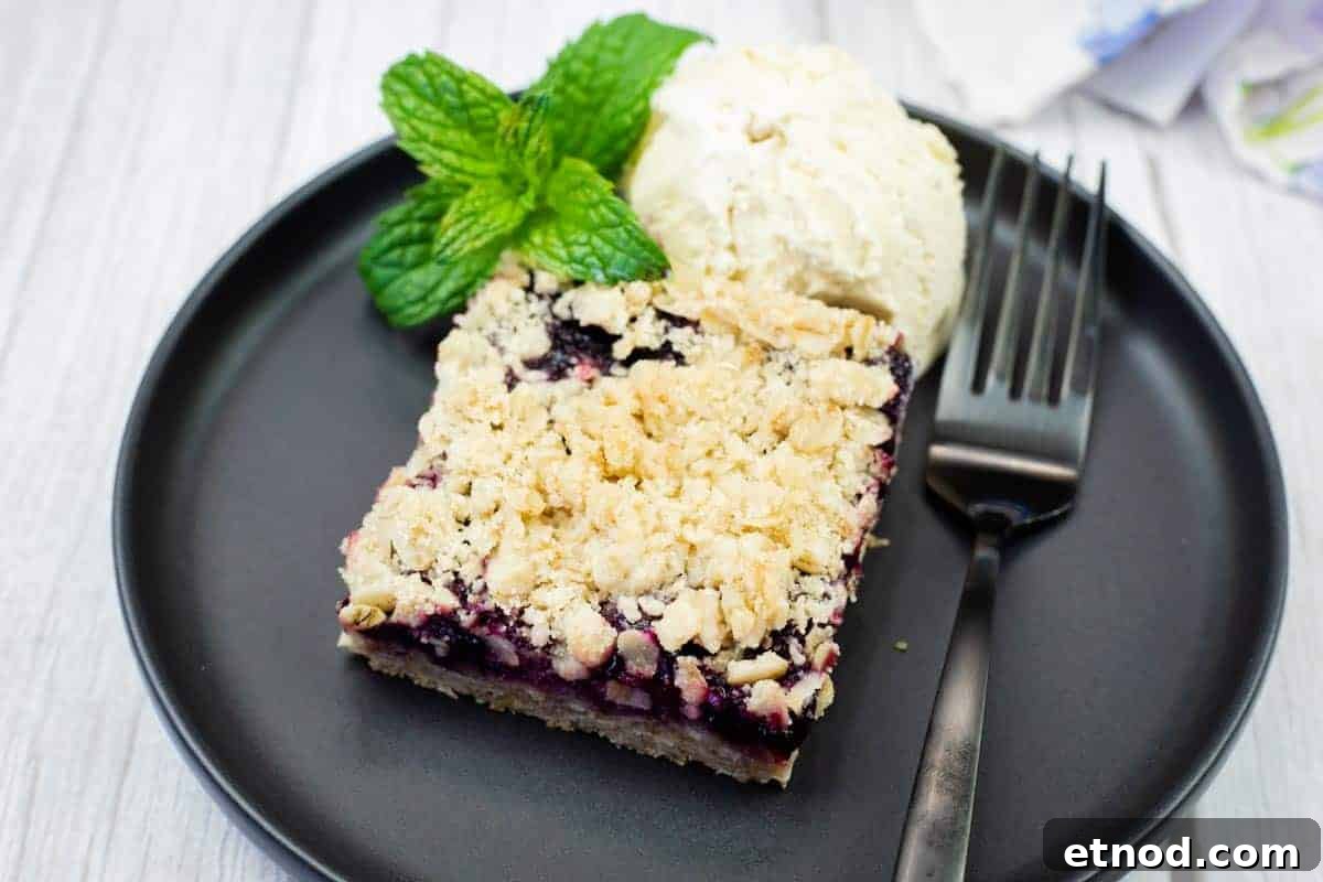 21 Quirky-Looking Desserts That Disappear First at Parties 17 A black plate holds a square Blueberry-Rhubarb Crumble Bar topped with a scoop of vanilla ice cream and fresh mint, with a fork on the side.