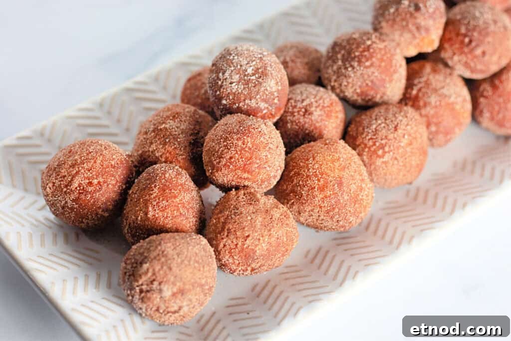 21 Quirky-Looking Desserts That Disappear First at Parties 19 A rectangular plate holds several round donut holes coated in cinnamon sugar.