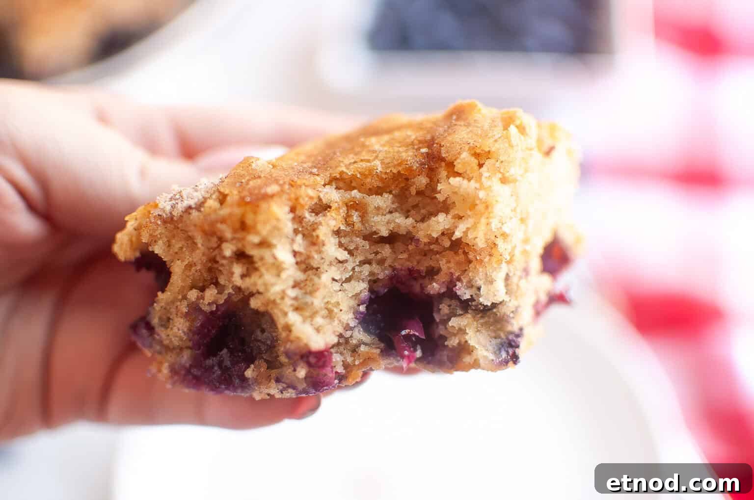 21 Quirky-Looking Desserts That Disappear First at Parties 23 A hand holding a partially eaten piece of classic blueberry boy bait, showing its moist interior and visible blueberries.