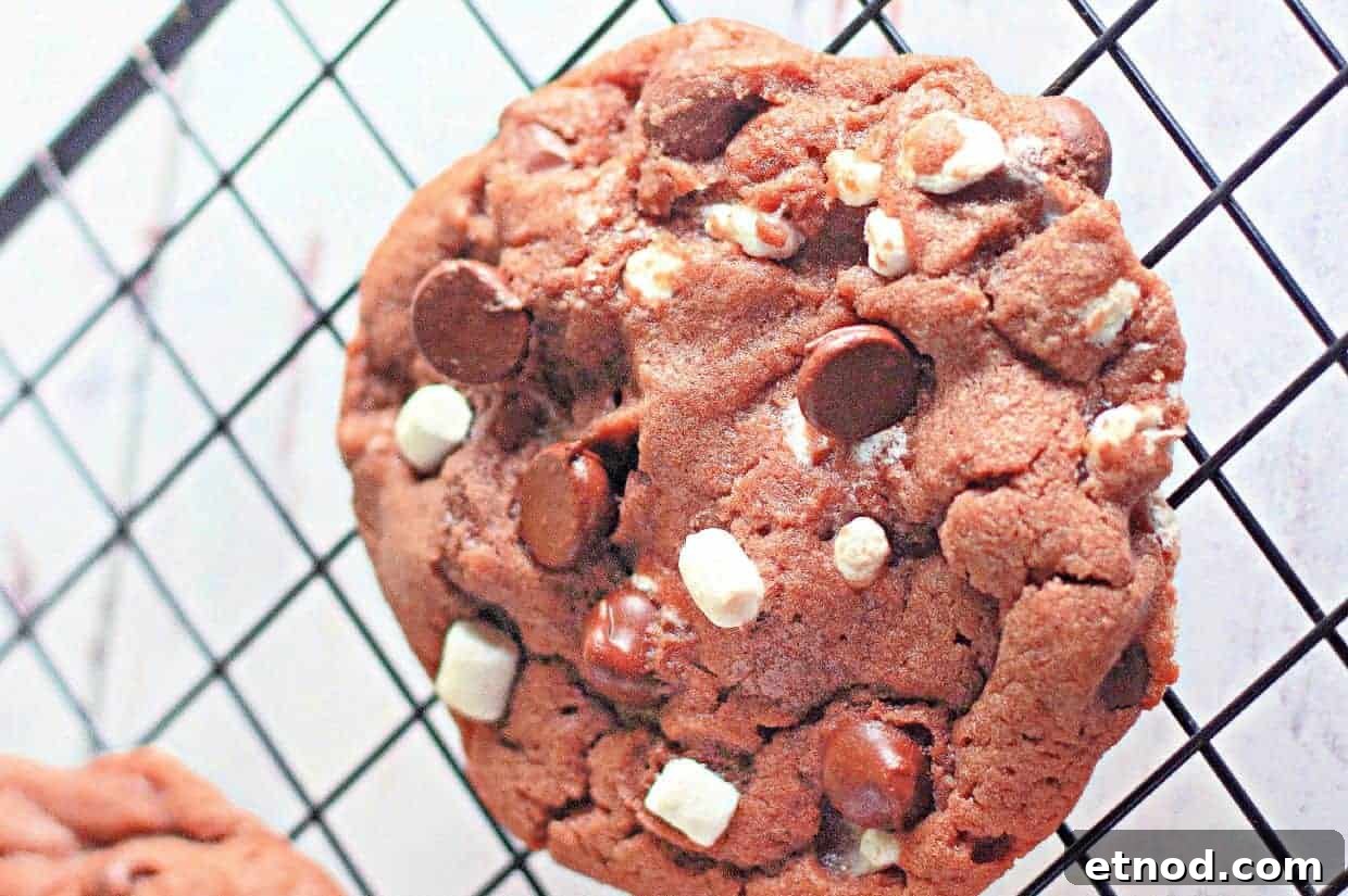 21 Quirky-Looking Desserts That Disappear First at Parties 5 A close-up of a cocoa chip cookie with white and dark chocolate chunks resting on a black cooling rack.