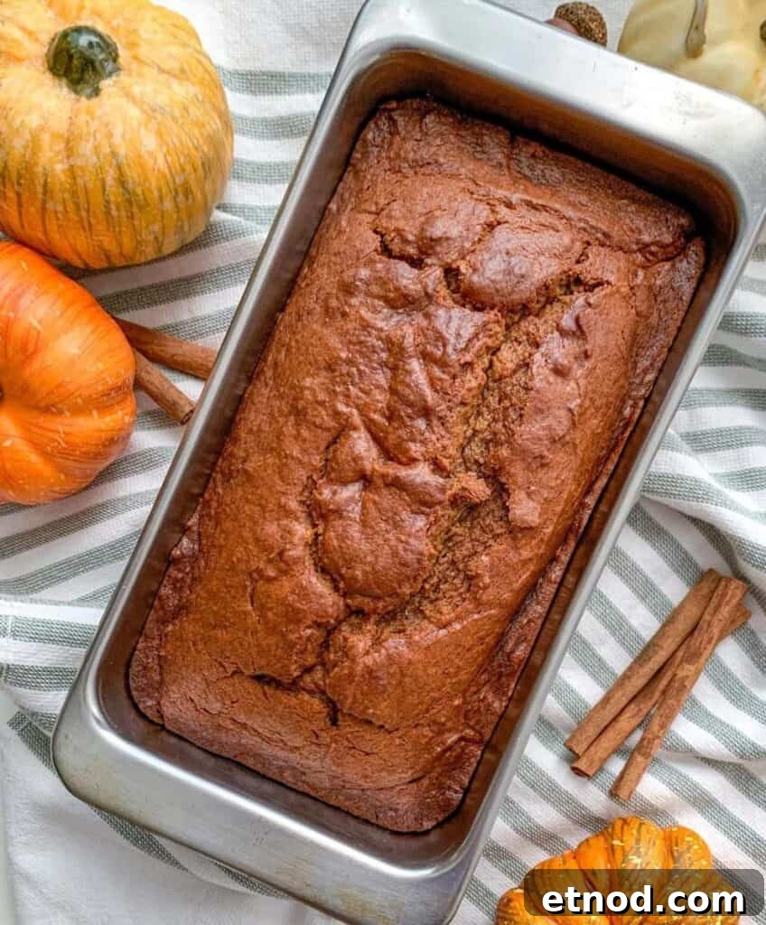 Pumpkin Banana Bread Recipe with Warm Spices and Moist Crumb 11 Perfect Simple Downeast Maine Pumpkin Bread for fall