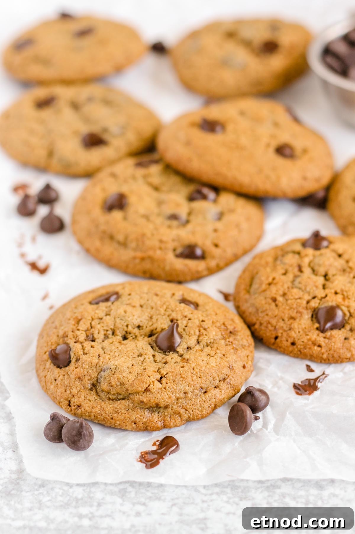 Oat flour chocolate chip cookies spread out on white parchment paper with chocolate chips sprinkled between cookies.