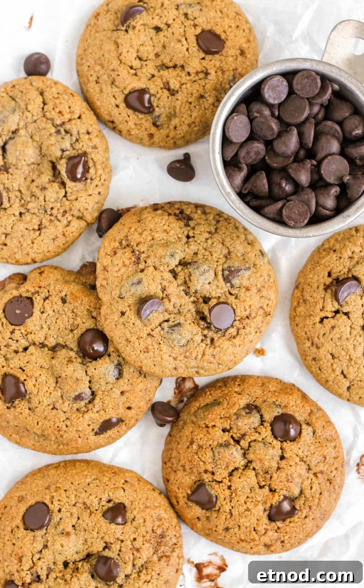 Chocolate chip oat flour cookies laid out on white parchment paper with a side dish filled with chocolate chips.