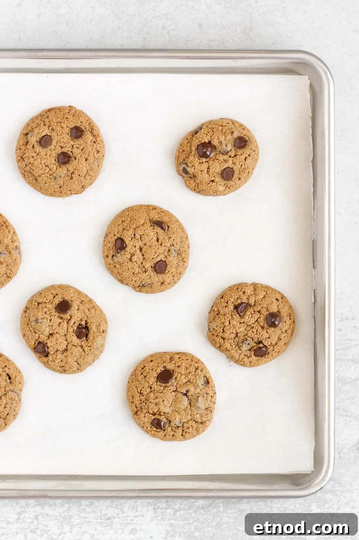 Cooked chocolate chip cookies on a baking sheet with white parchment paper.