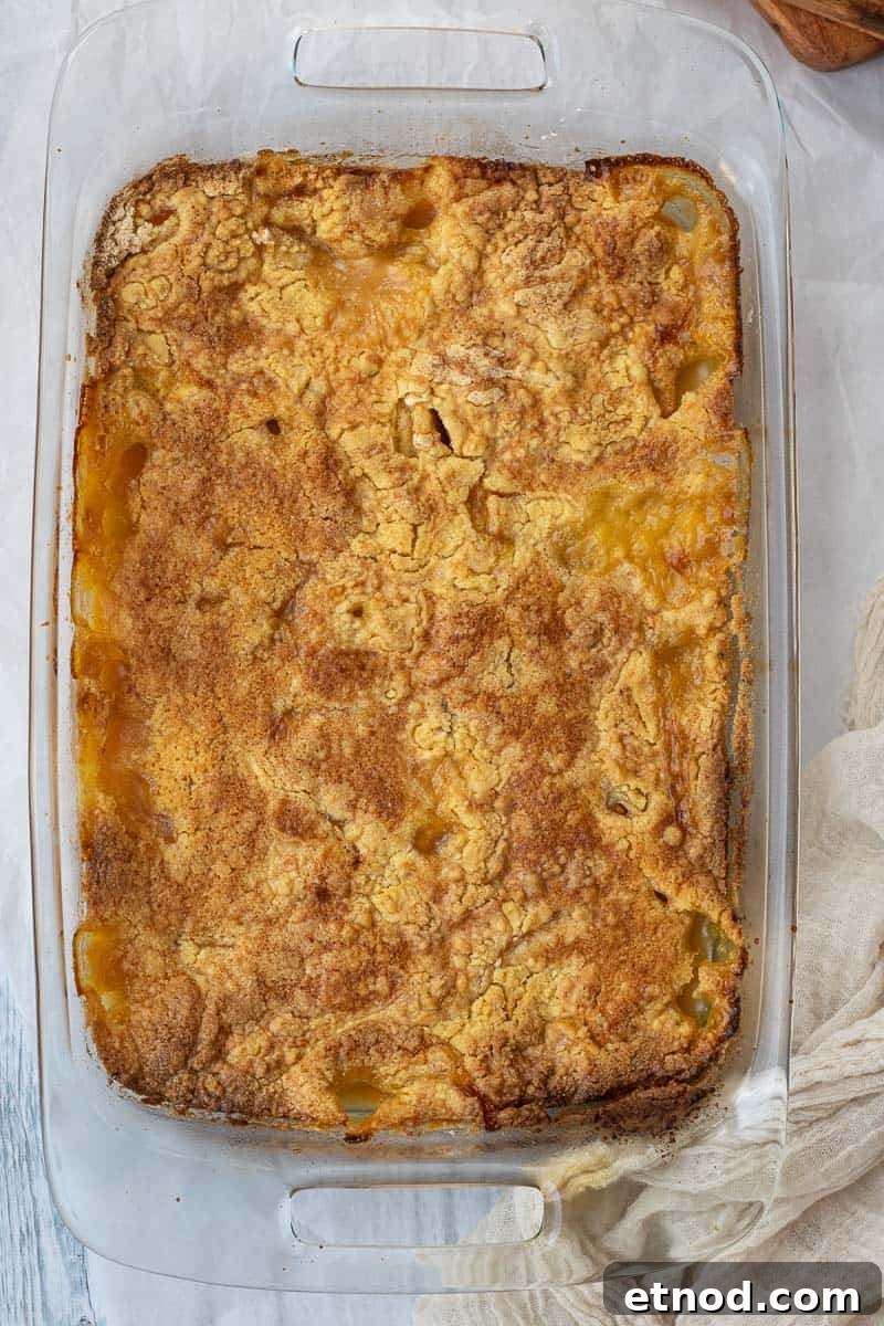 5-Ingredient Peach Cobbler Using Cake Mix Recipe 7 baked peach cobbler with golden top just out of oven
