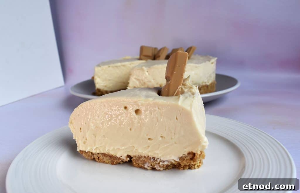 Slice of no bake caramilk cheesecake on a purple background.