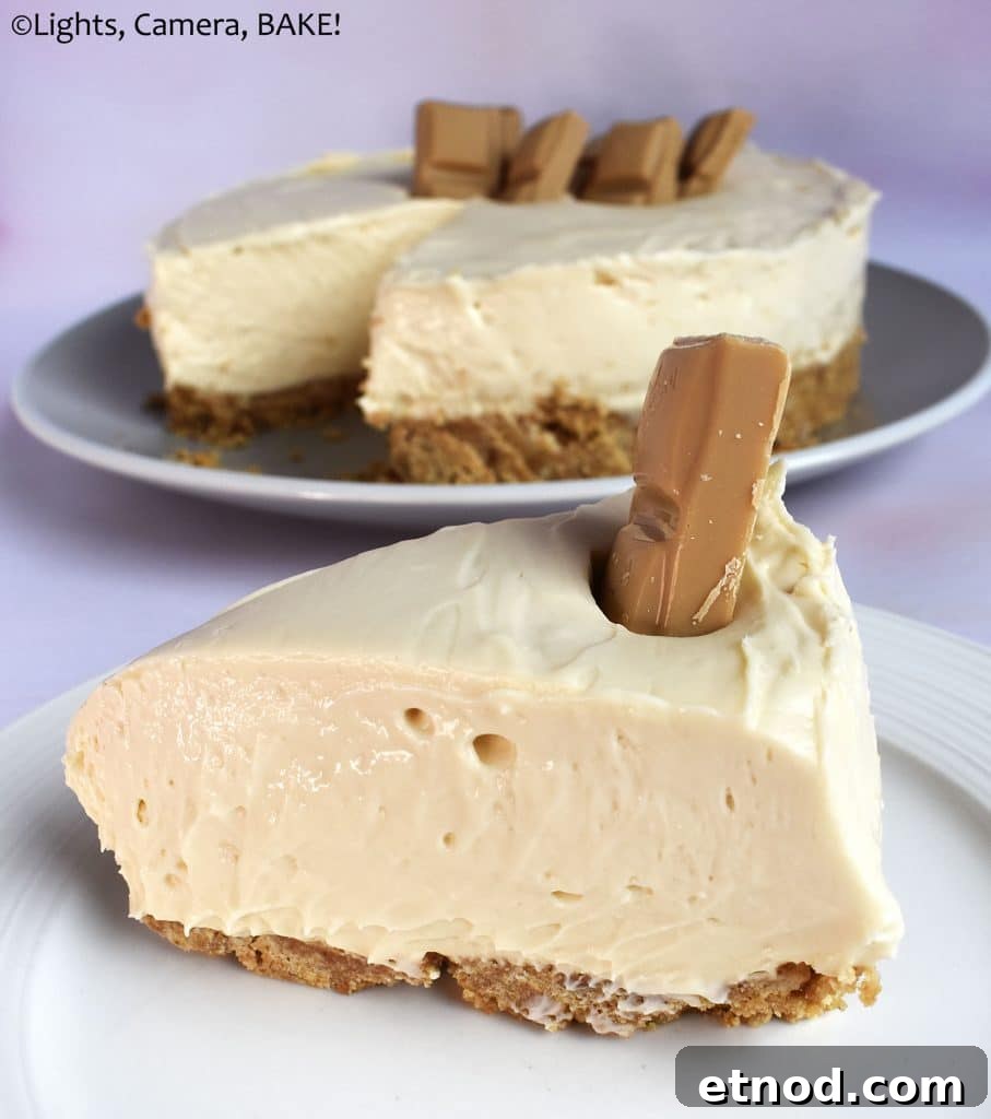 No bake Caramilk cheesecake on a purple background.
