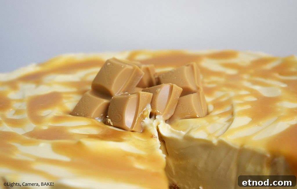 Caramilk Cheesecake is a no bake, creamy cheesecake made with Cadbury Caramilk chocolate for all those Caramilk or caramelised white chocolate lovers out there! #cheesecake #caramilk #caramilkcheesecake