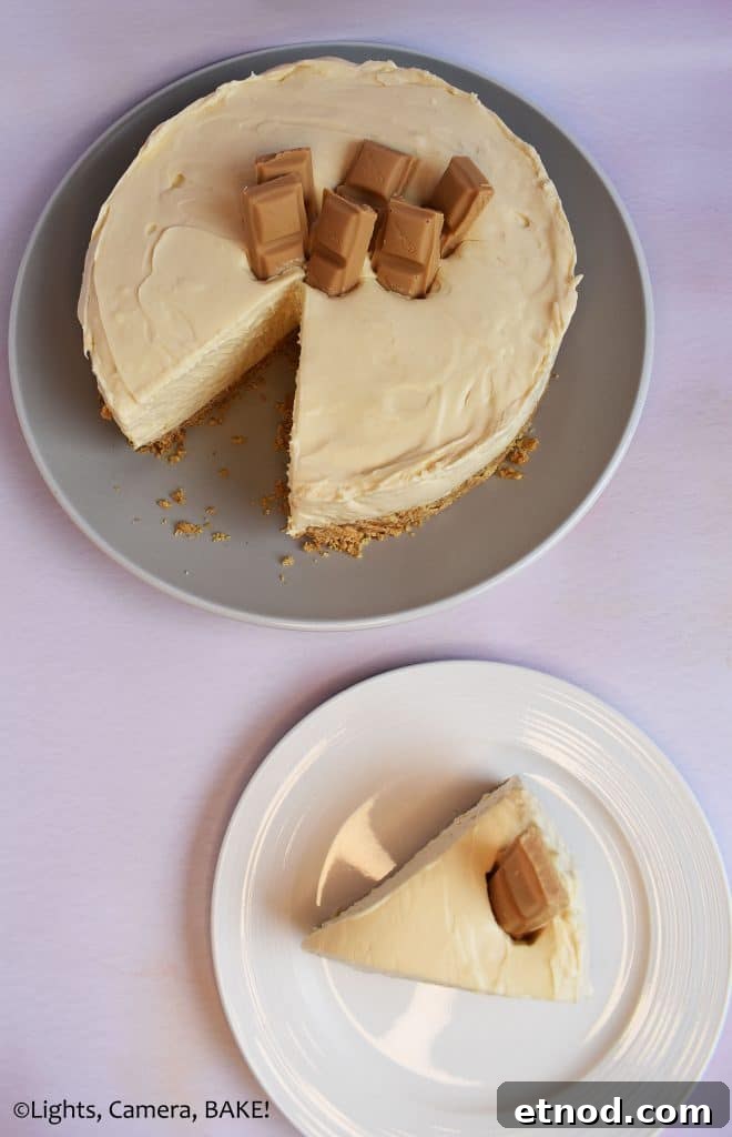 No bake Caramilk cheesecake slice on a purple background.