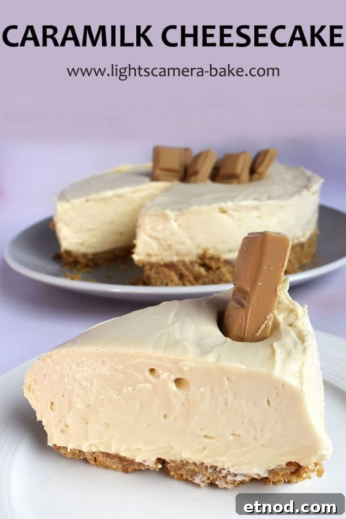 caramilk cheesecake slice on a purple background with writing.