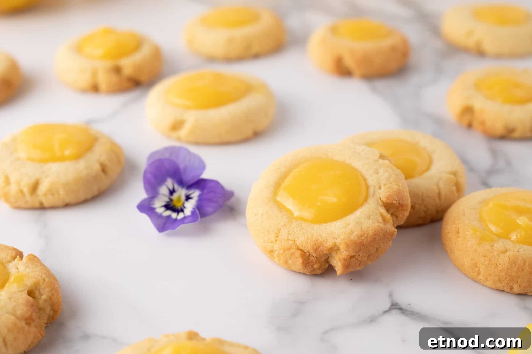 Lemon Curd Thumbprint Cookies — Zesty Jam-Filled Shortbread 7 Close up view of lemon curd cookies with a lavender flower in background.