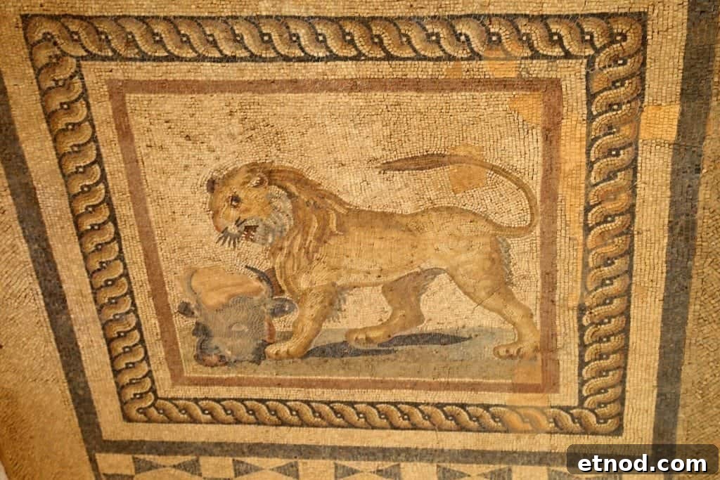 Terracotta Houses of Ephesus, Turkey: Visitor Guide & Tips 7 lion Terra Cotta House